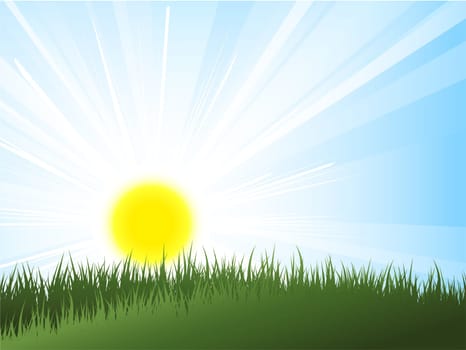 Sun rising over green grass