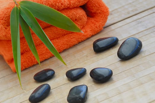 Wellness 49