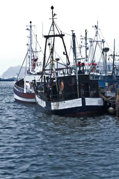 Fishing port Sassnitz