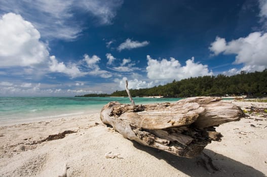 Beach in Mauritius