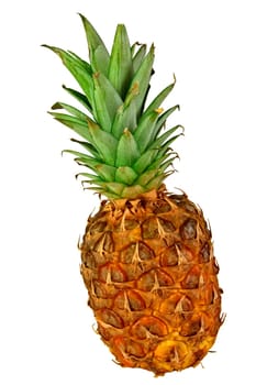 pineapple fruit isolated on white