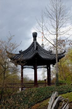 Chinese Refuge