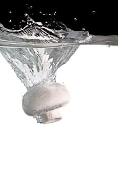 Mushroom in water