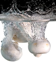 Three mushrooms in water