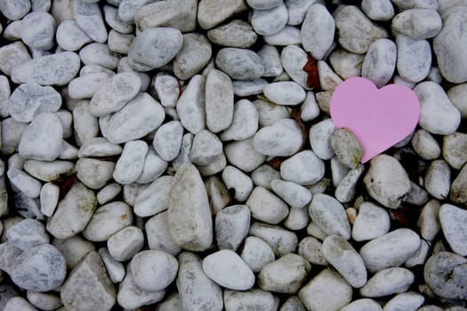 Pink Love