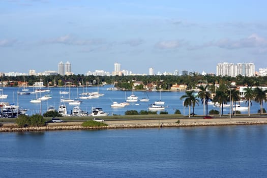 Miami cityscape