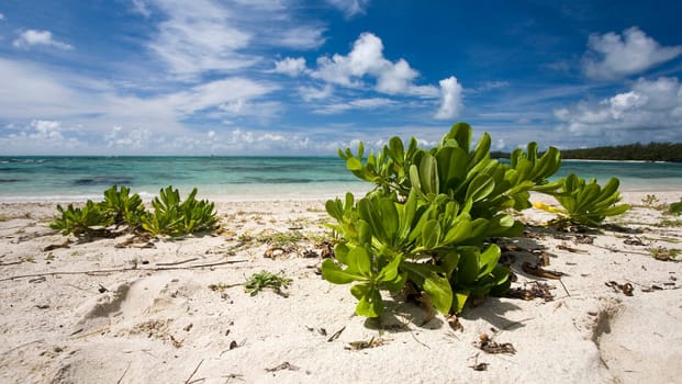 Sandy beach