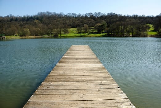 At the pond