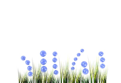 Bubbles