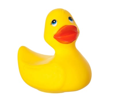 Yellow duck