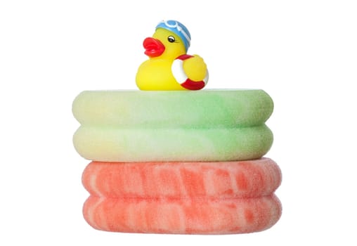 Swimming duck over sponges