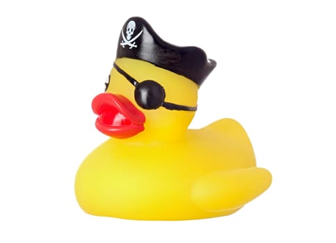 Funny pirate duck