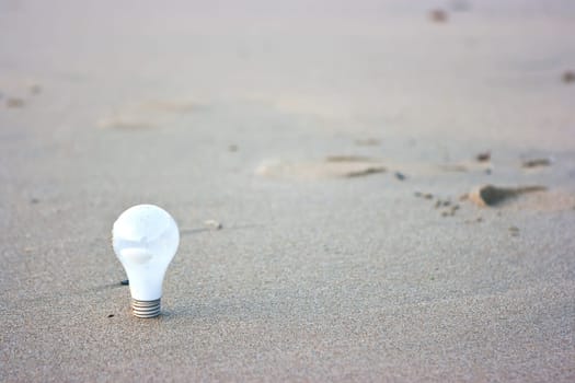 Bulb