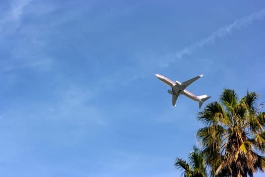 Airplane in the sky