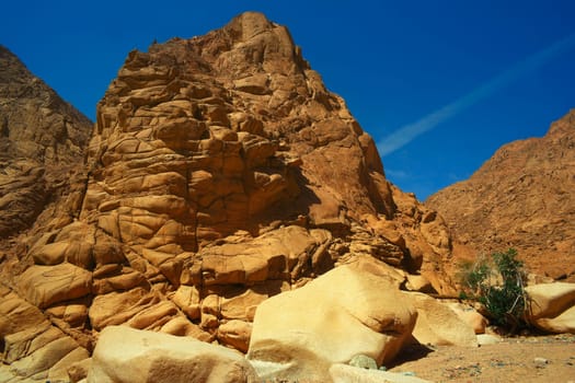 Wadi Kid 5