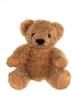 Teddy bear