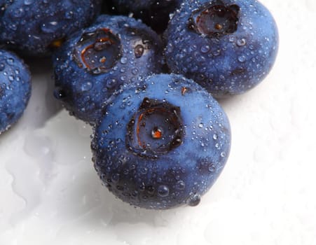 blueberry closeup