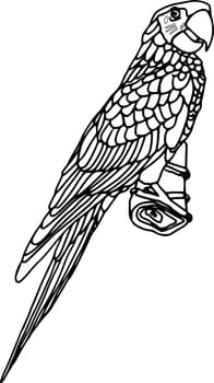 ara