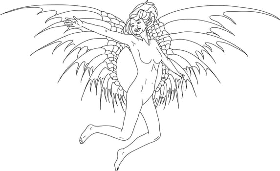 angel women