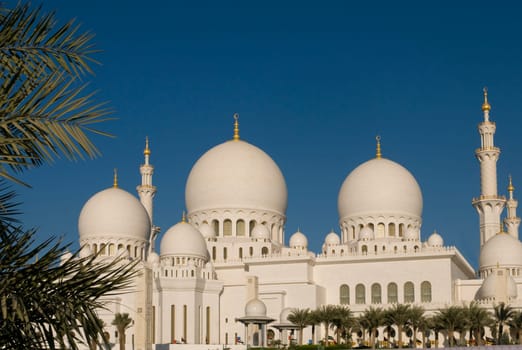 Abu Dhabi Mosque,UAE