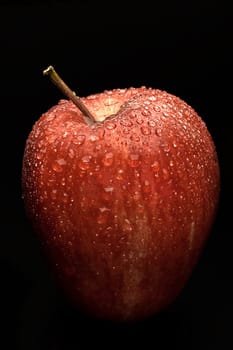 wet apple..