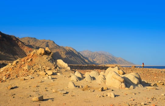 Desert coast in Southeast Sinai