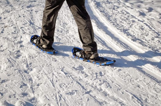 Walking with snow rackets.