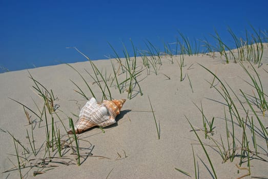 Beach shelter