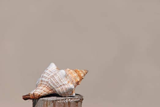 Beach shelter