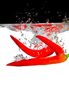 Three hot peppers in water