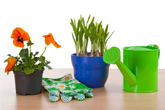 Harbingers of Spring