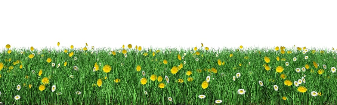 Flower meadow optionally