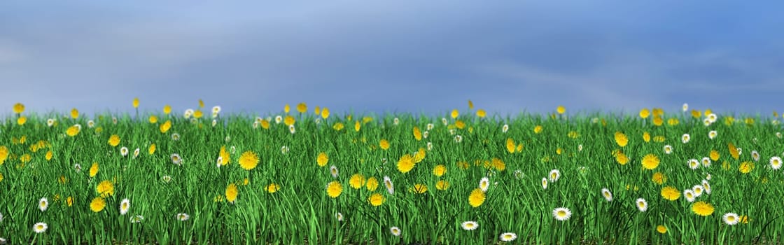 Flower meadow - illustration