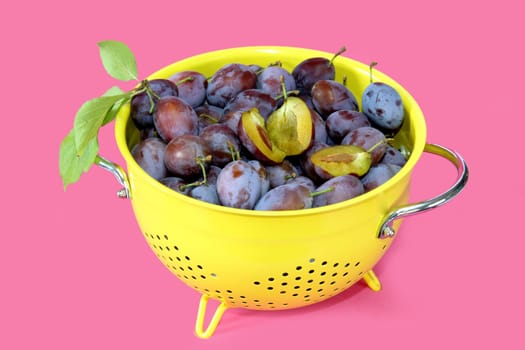 Plums