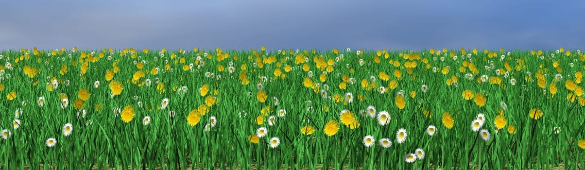 Flower meadow - illustration