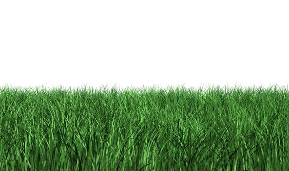 green meadow