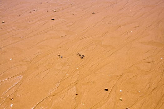 Sandy Beach,Background
