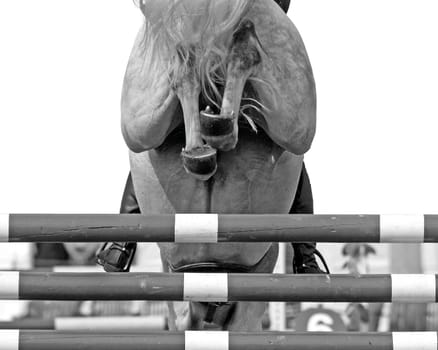 Horse Jump