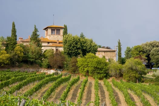 House with vineyard