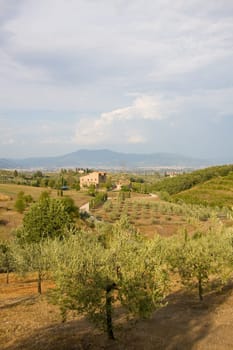 Tuscan countryside