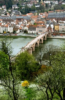 Heidelberg in spring