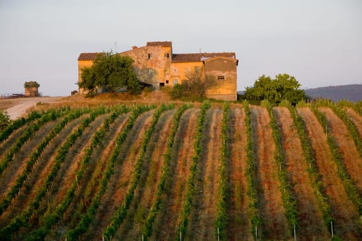 Old winery