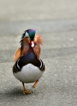 On the move