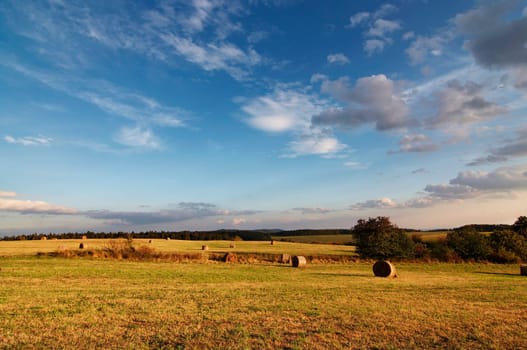 fields and meadows