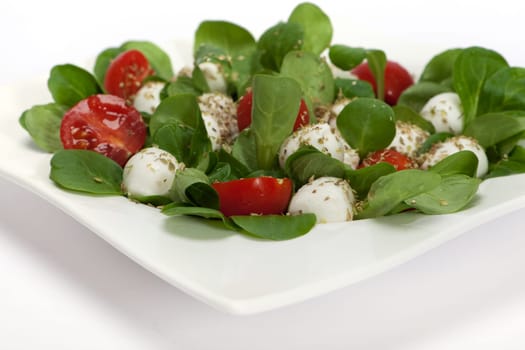 Mozzarella