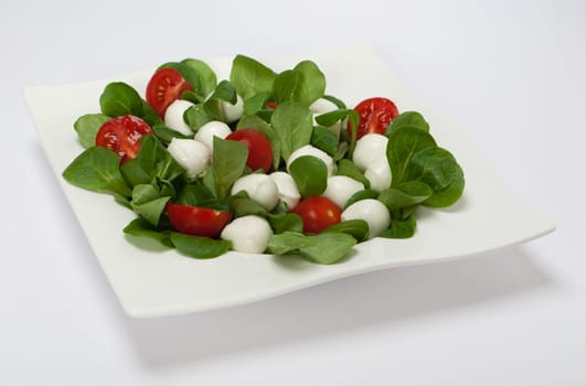 Mozzarella