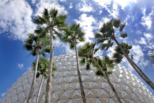 Upward View