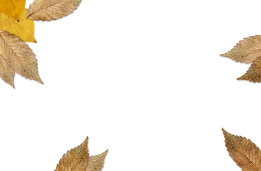 leave