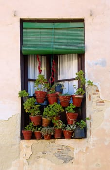Old Window