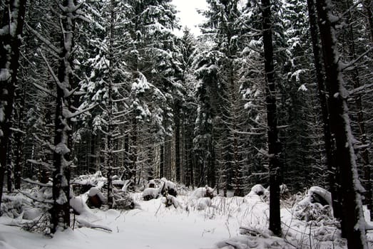 Winter in Thuringia